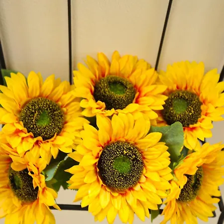 Appartement Kallichoron 5 Fortezza Kavala